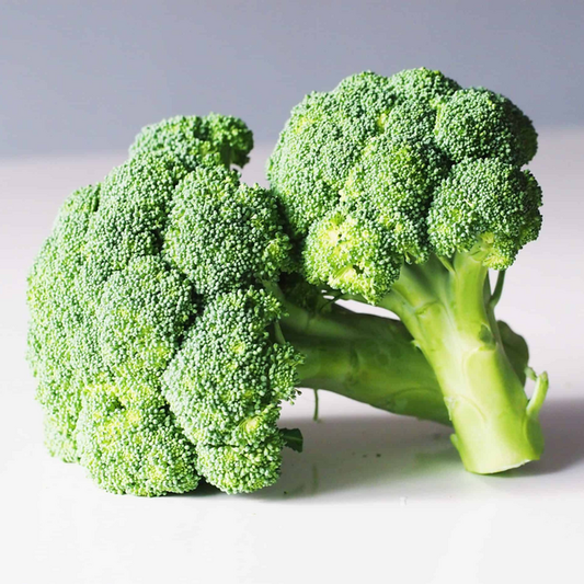 Our First Newsletter Issue ~ Sulforaphane