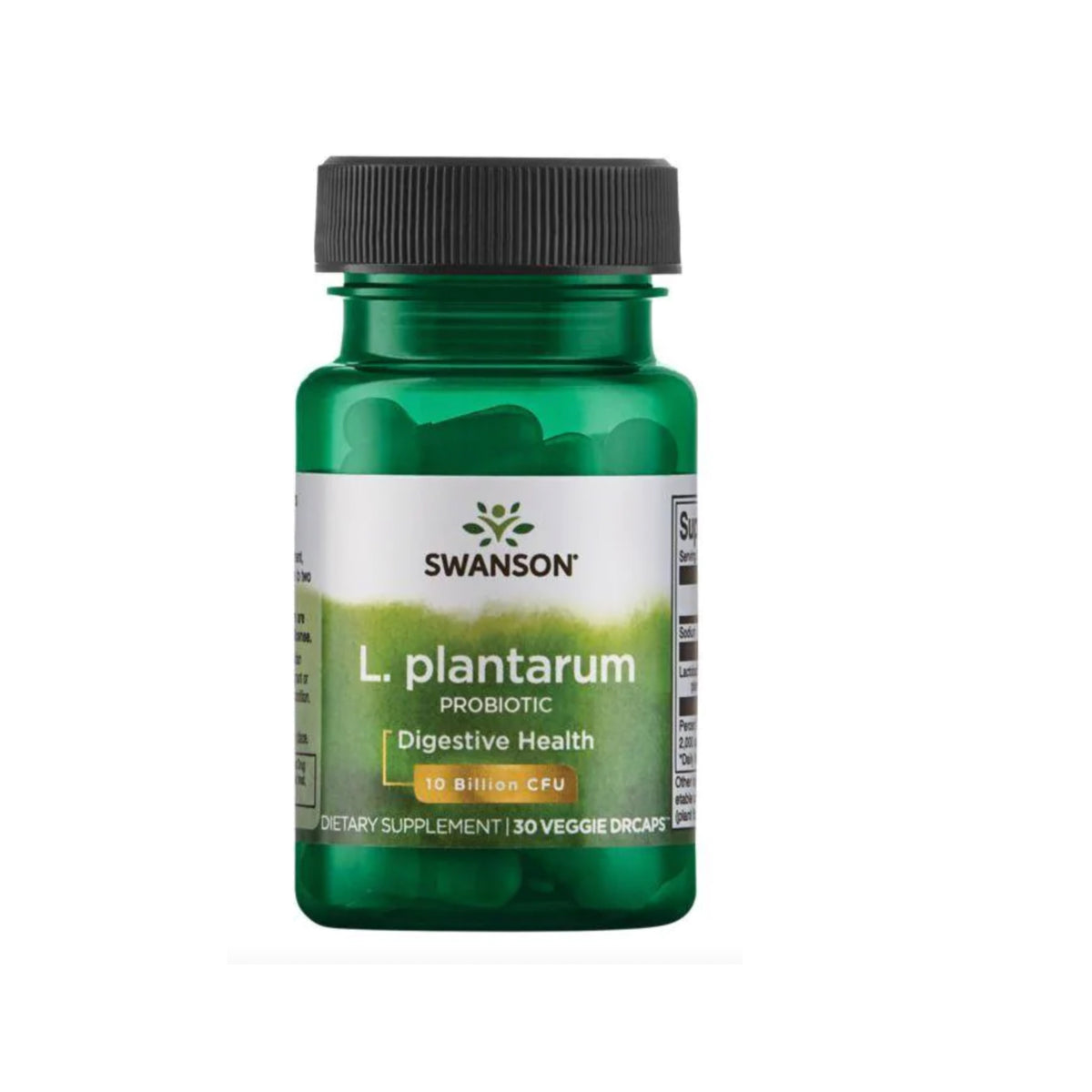 Probiotics- L. Plantarum Probiotic