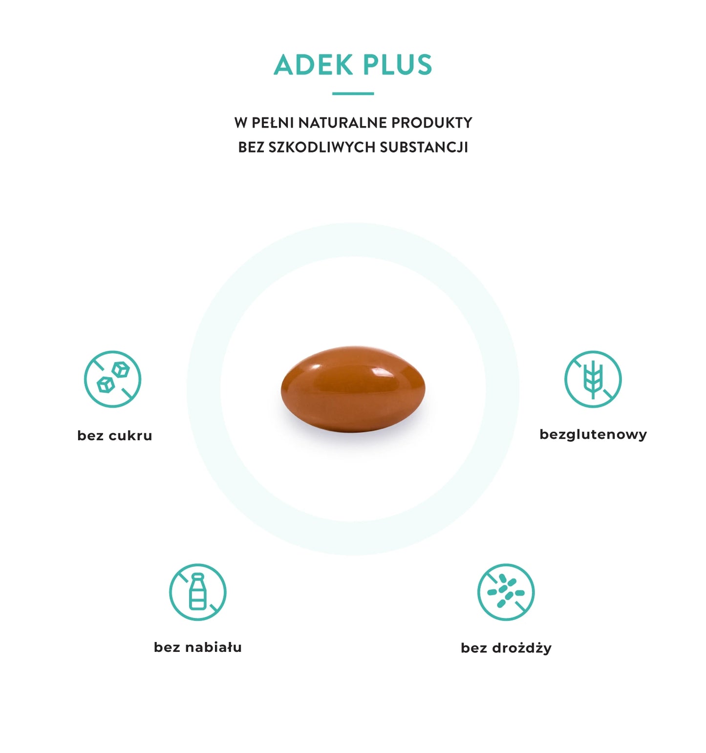 ADEK PLUS